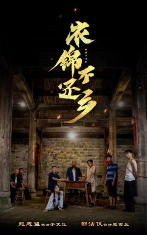衣锦不还乡（69集）追短剧太上头了