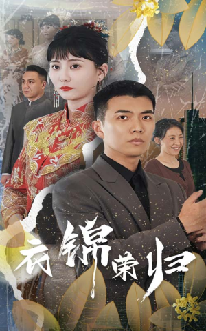 衣锦荣归（81集）演员表