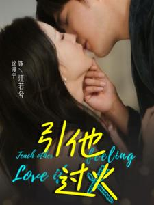 引他过火（40集）完整版免费观看