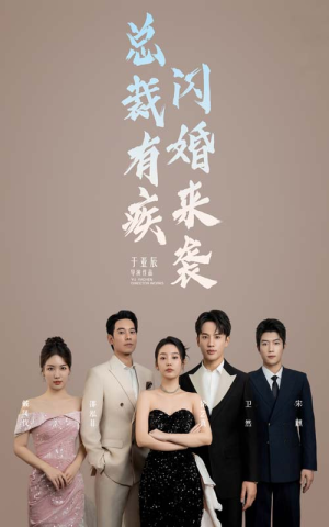 总裁有疾闪婚来袭（63集）短剧热门合集