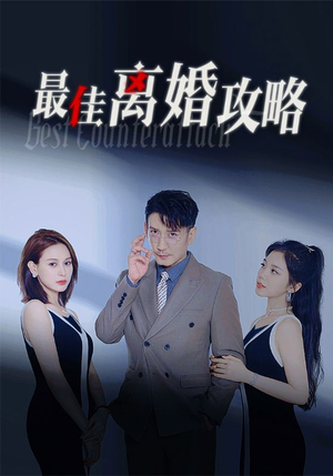 最佳离婚攻略（31集）最新短剧抢先看