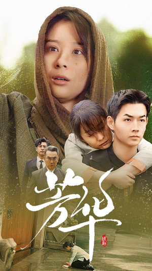芳华（80集）独家内容免费看