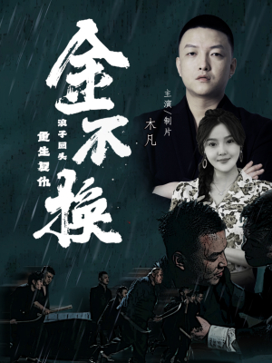 金不换（32集）短剧