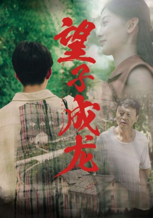 望子成龙（74集）第一集