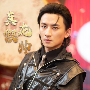 真假龙帅（81集）热门短剧看不停