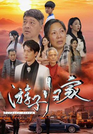 游子归家（88集）分享好看的短剧