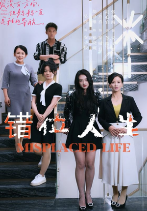 错位人生（89集）热播短剧追不停
