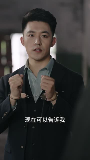 余烬亦燃 （96集）网盘在线观看