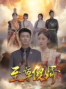 至尊傻婿（82集）精彩片段