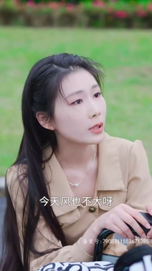爱意随风起（71集）热播短剧排行榜