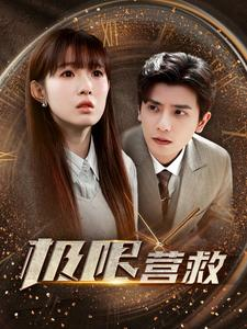 极限营救（100集）全集完整版