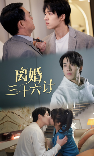 离婚三十六计（96集）免费短剧合集