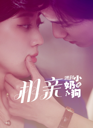 相亲遇到小奶狗（80集）短剧全集大结局