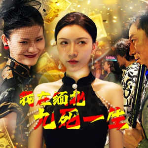 我在缅北九死一生（80集）热门短剧追不停
