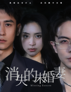 消失的未婚妻（82集）在线看