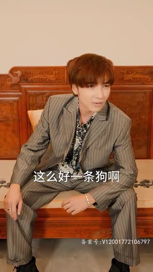 天尊崛起之都市风云（100集）口碑之选免费看