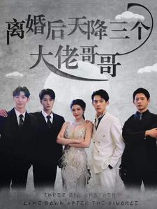 离婚后天降三个大佬哥哥（83集）超火短剧抢先看