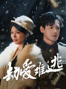 24.劫爱难逃（30集）高分推荐免费看