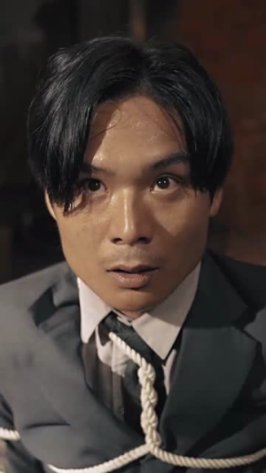 重生后我在商界席卷风云（100集）看到了大结局