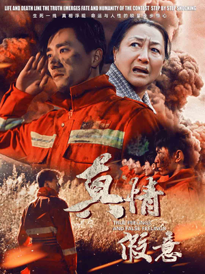 29.真情假意（62集）全集完整版
