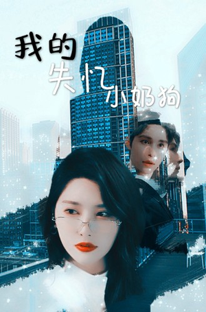 我的失忆小奶狗（64集）短剧热门合集