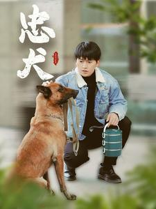忠犬（34集）一起追短剧