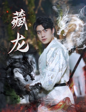 藏龙（74集）短剧排行榜