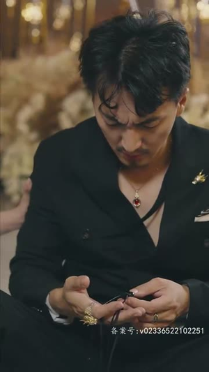 无极（85集）免费看全网短剧