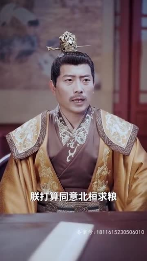 醉枕江山，这个皇子是老六（69集）在哪个平台看