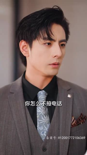 我们爱过又忘记（101集）短剧免费看