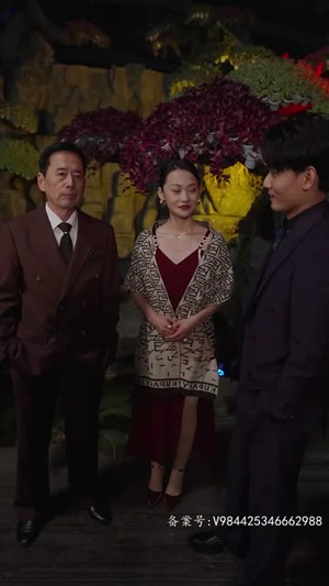 赘婿天子（91集）超级好看的短剧