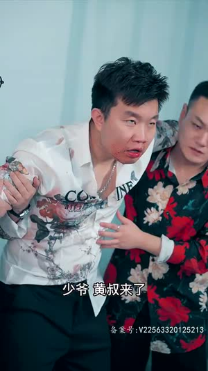 狂少归来（85集）高清无码免费看