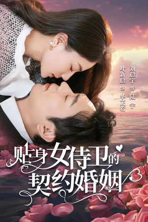 贴身女侍卫的契约婚姻（91集）免费短剧资源