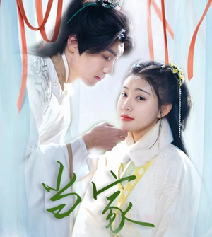 傻子王爷娇宠妃&当家（50集）短剧全集完整