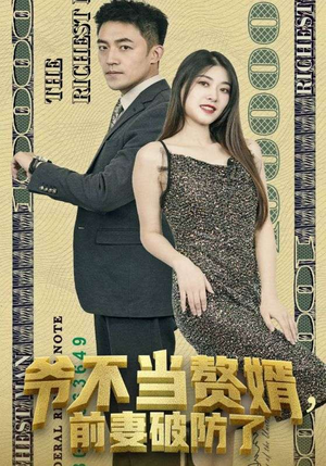 爷不当赘婿，前妻破防了（80集）免费短剧合集