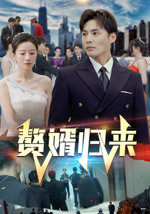 赘婿归来（101集）观看软件