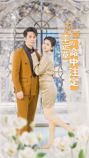 闪婚幸运草的命中注定（82集）精彩短剧推荐