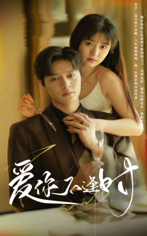 爱你不逢时（91集）热门爆款短剧