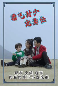 霸气封少宠妻忙（80集）好短剧分享