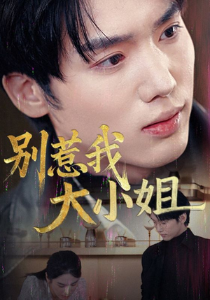 别惹我大小姐（40集）免费观看全集