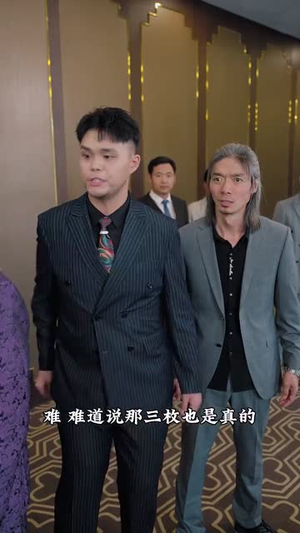 白夜追凶之龙兄虎弟（80集）民国短剧推荐