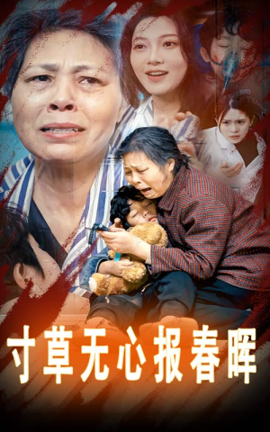 孝子慈孙（31集）女主谁演的