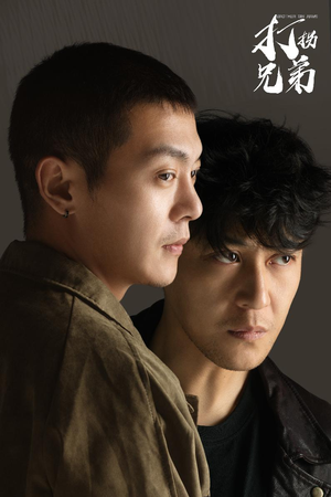 打拐兄弟（30集）精彩不断免费看