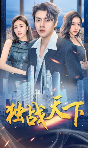 独战天下（73集）看到了大结局