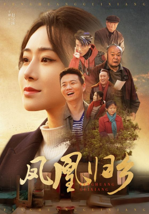 凤凰归乡（33集）全集一次看完
