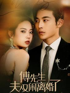 傅先生夫人又闹离婚了（80集）女主谁演的