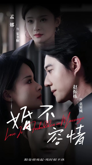 婚不容情（89集）全集在线看