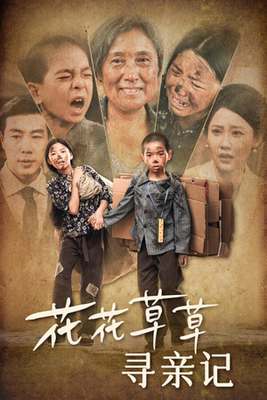 花花草草寻亲记（42集）民国短剧推荐