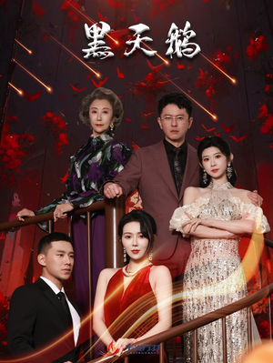 黑天鹅（51集）热门火爆短剧