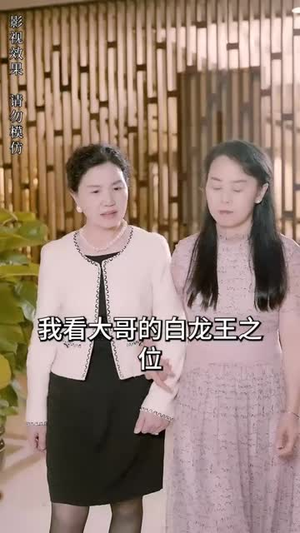 极品神婿（100集）免费看全集